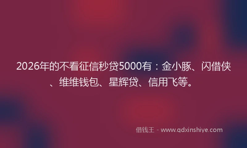 2026年的不看征信秒贷5000有:金小豚、闪借侠、维维钱包、星辉贷、信用飞等。
