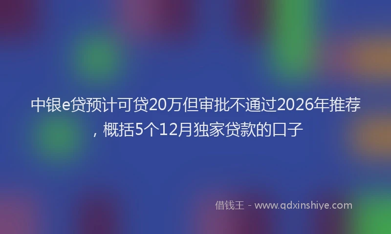 中银e贷预计可贷20万但审批不通过2026年推荐，概括5个12月独家贷款的口子