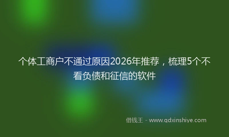 个体工商户不通过原因2026年推荐，梳理5个不看负债和征信的软件