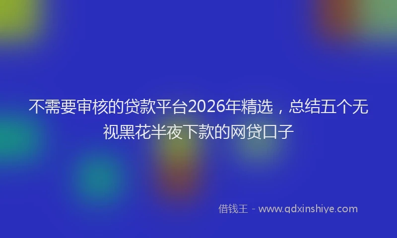 不需要审核的贷款平台2026年精选，总结五个无视黑花半夜下款的网贷口子