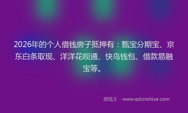 2026年的个人借钱房子抵押有:甄宝分期宝、京东白条取现、洋洋花呗通、快鸟钱包、借款易融宝等。