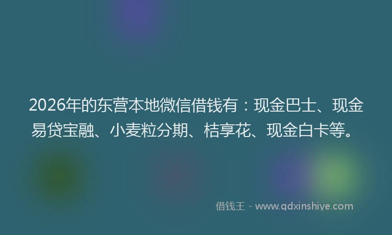 2026年的东营本地微信借钱有：现金巴士、现金易贷宝融、小麦粒分期、桔享花、现金白卡等。