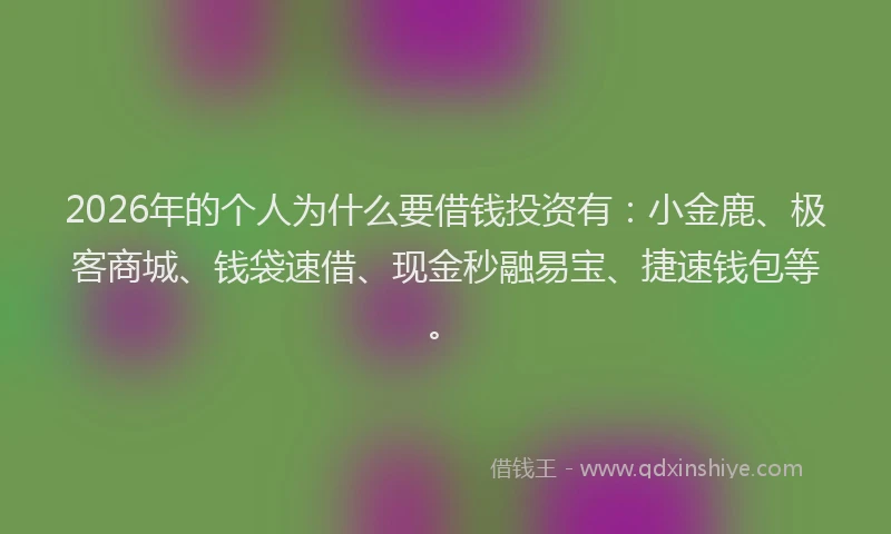 2026年的个人为什么要借钱投资有：小金鹿、极客商城、钱袋速借、现金秒融易宝、捷速钱包等。