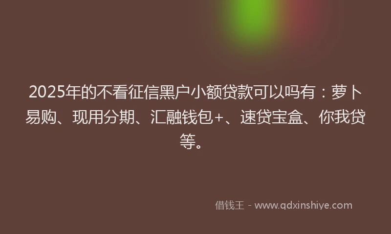 2025年的不看征信黑户小额贷款可以吗有：萝卜易购、现用分期、汇融钱包+、速贷宝盒、你我贷等。