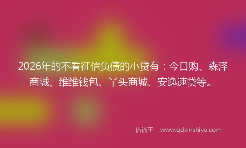 2026年的不看征信负债的小贷有：今日购、森泽商城、维维钱包、丫头商城、安逸速贷等。