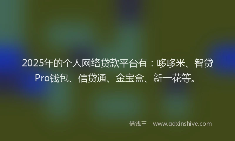 2025年的个人网络贷款平台有:哆哆米、智贷Pro钱包、信贷通、金宝盒、新一花等。
