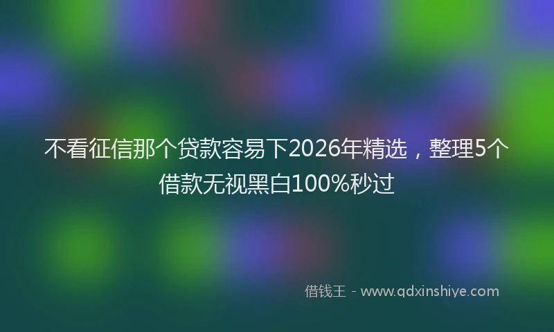 不看征信那个贷款容易下2026年精选，整理5个借款无视黑白100%秒过