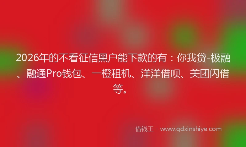 2026年的不看征信黑户能下款的有：你我贷-极融、融通Pro钱包、一橙租机、洋洋借呗、美团闪借等。