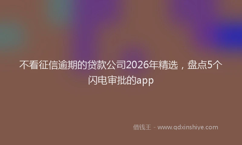 不看征信逾期的贷款公司2026年精选，盘点5个闪电审批的app