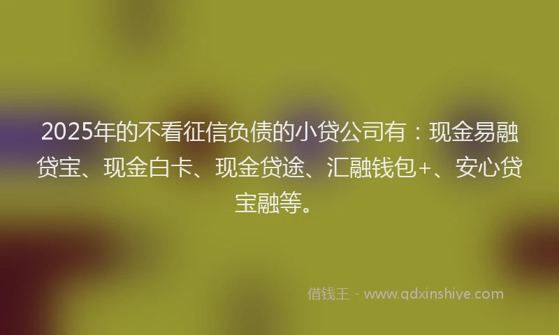 2025年的不看征信负债的小贷公司有:现金易融贷宝、现金白卡、现金贷途、汇融钱包+、安心贷宝融等。