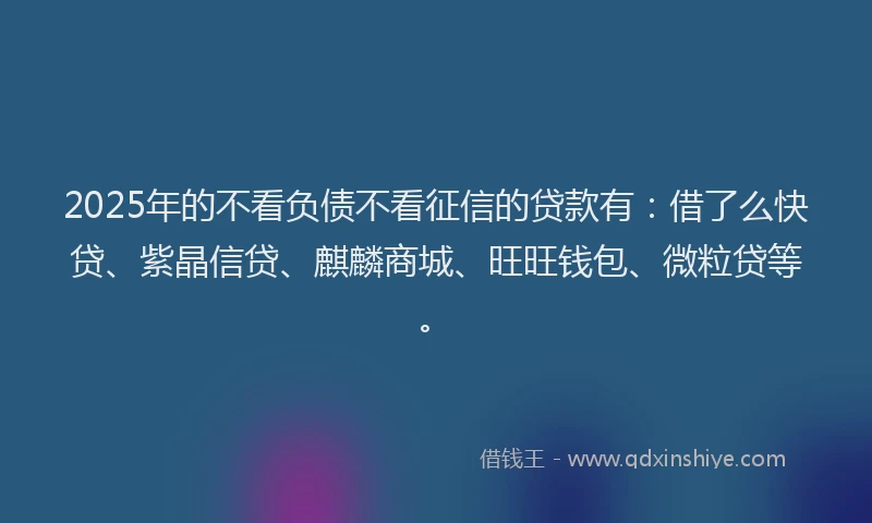2025年的不看负债不看征信的贷款有:借了么快贷、紫晶信贷、麒麟商城、旺旺钱包、微粒贷等。