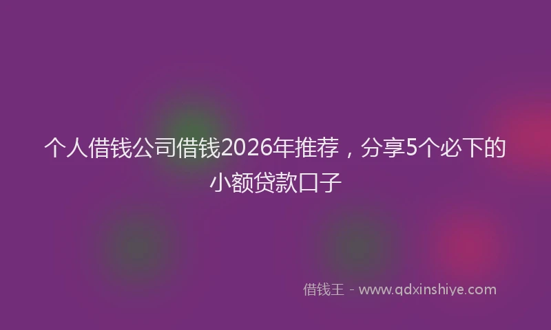 个人借钱公司借钱2026年推荐，分享5个必下的小额贷款口子
