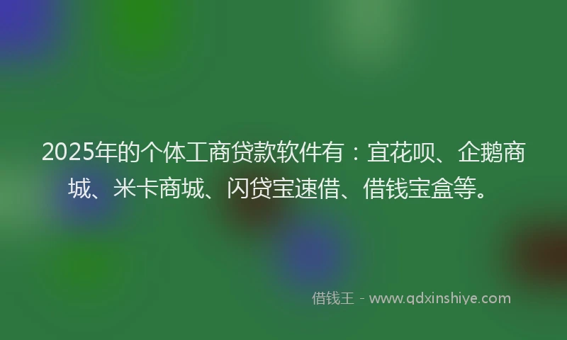 2025年的个体工商贷款软件有：宜花呗、企鹅商城、米卡商城、闪贷宝速借、借钱宝盒等。