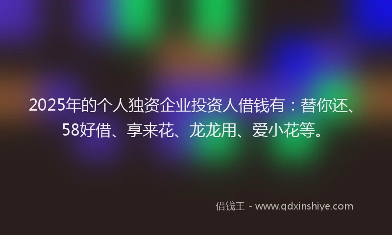 2025年的个人独资企业投资人借钱有：替你还、58好借、享来花、龙龙用、爱小花等。