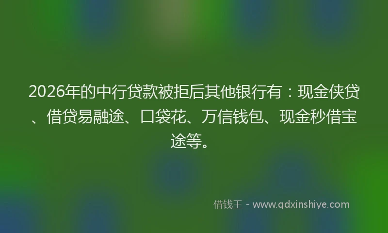 2026年的中行贷款被拒后其他银行有：现金侠贷、借贷易融途、口袋花、万信钱包、现金秒借宝途等。