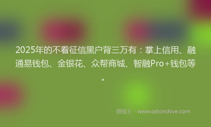 2025年的不看征信黑户背三万有：掌上信用、融通易钱包、金银花、众帮商城、智融Pro+钱包等。
