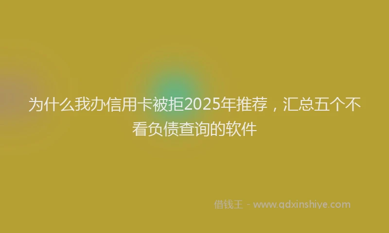 为什么我办信用卡被拒2025年推荐，汇总五个不看负债查询的软件