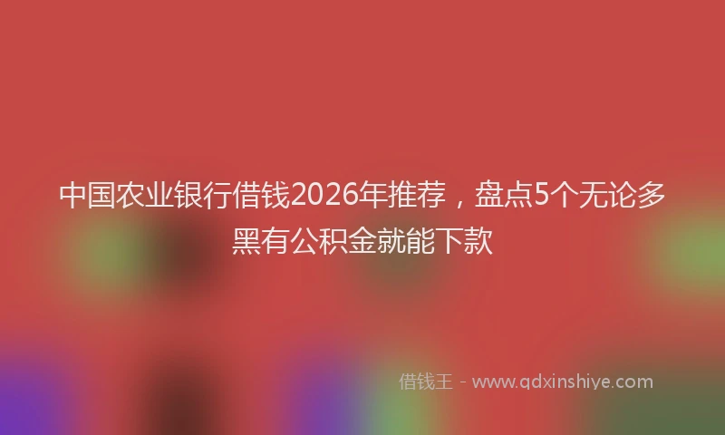 中国农业银行借钱2026年推荐，盘点5个无论多黑有公积金就能下款