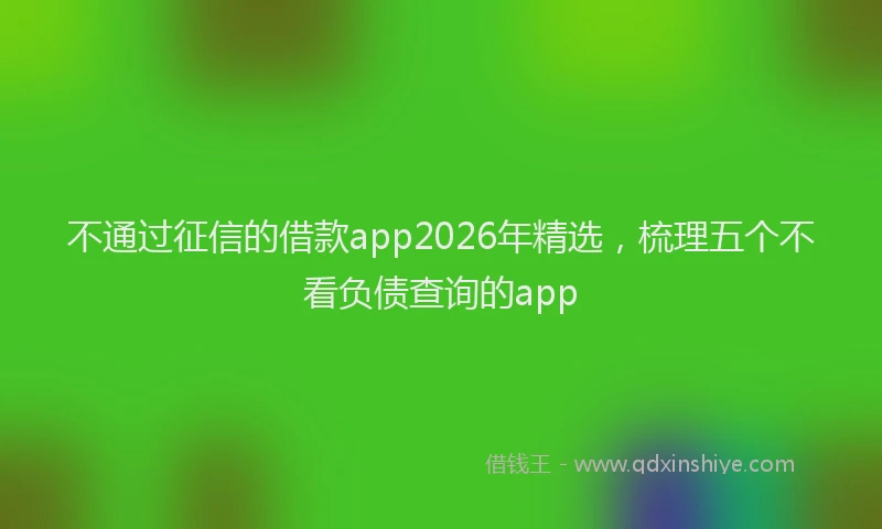 不通过征信的借款app2026年精选，梳理五个不看负债查询的app