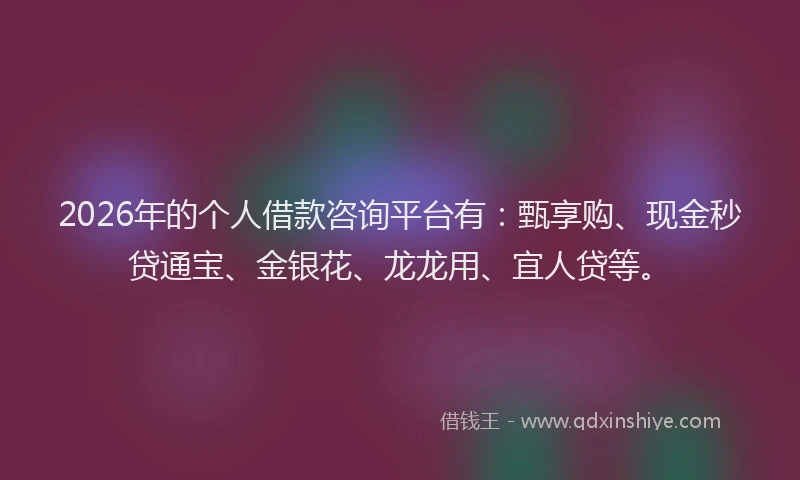 2026年的个人借款咨询平台有：甄享购、现金秒贷通宝、金银花、龙龙用、宜人贷等。