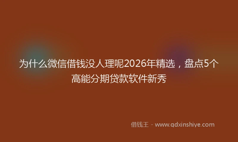 为什么微信借钱没人理呢2026年精选，盘点5个高能分期贷款软件新秀