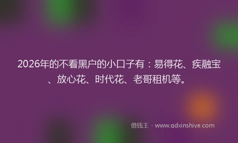 2026年的不看黑户的小口子有：易得花、疾融宝、放心花、时代花、老哥租机等。