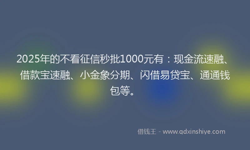 2025年的不看征信秒批1000元有:现金流速融、借款宝速融、小金象分期、闪借易贷宝、通通钱包等。