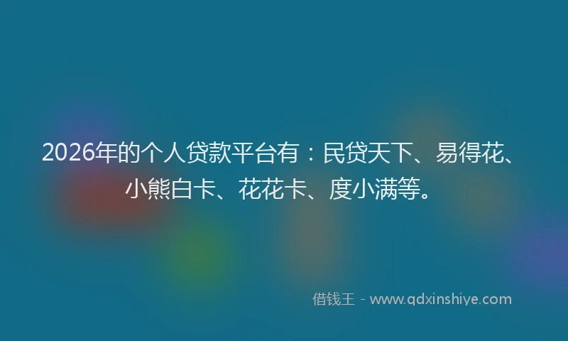 2026年的个人贷款平台有：民贷天下、易得花、小熊白卡、花花卡、度小满等。
