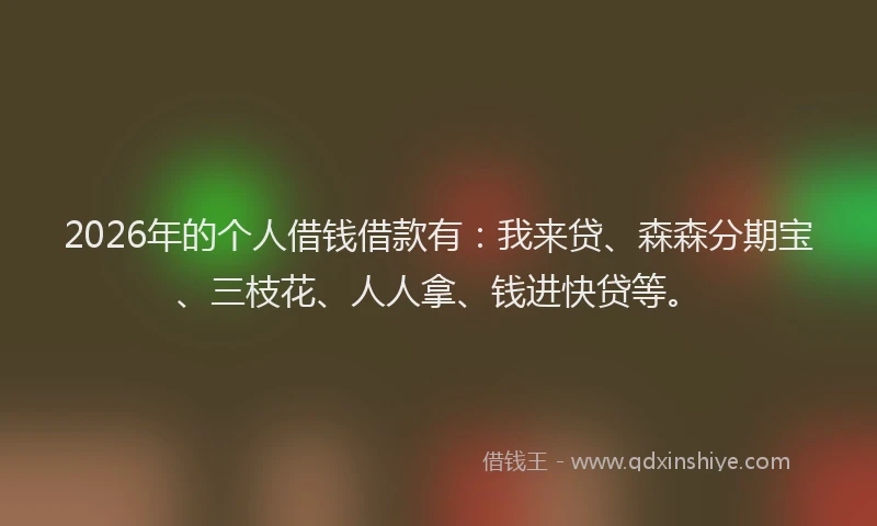 2026年的个人借钱借款有：我来贷、森森分期宝、三枝花、人人拿、钱进快贷等。