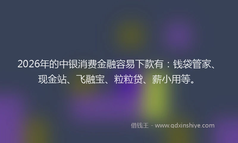 2026年的中银消费金融容易下款有：钱袋管家、现金站、飞融宝、粒粒贷、薪小用等。
