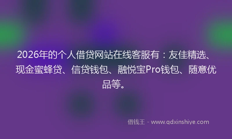 2026年的个人借贷网站在线客服有：友佳精选、现金蜜蜂贷、信贷钱包、融悦宝Pro钱包、随意优品等。