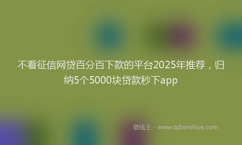 不看征信网贷百分百下款的平台2025年推荐，归纳5个5000块贷款秒下app