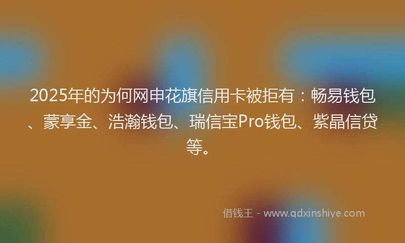 2025年的为何网申花旗信用卡被拒有：畅易钱包、蒙享金、浩瀚钱包、瑞信宝Pro钱包、紫晶信贷等。