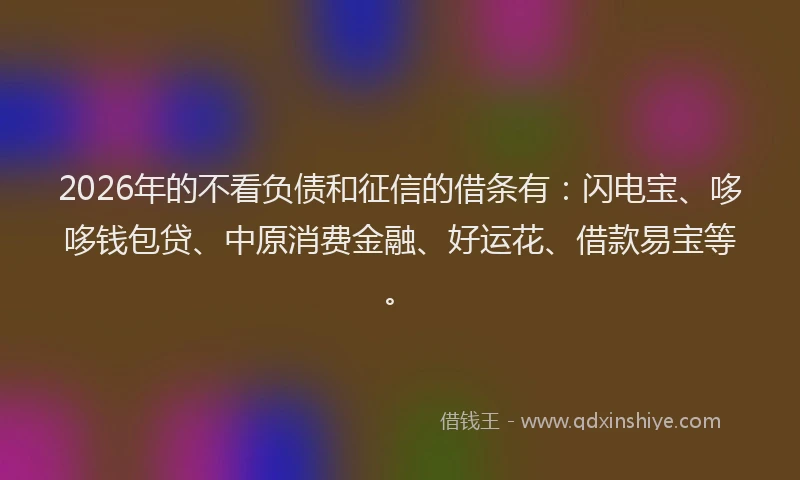 2026年的不看负债和征信的借条有：闪电宝、哆哆钱包贷、中原消费金融、好运花、借款易宝等。
