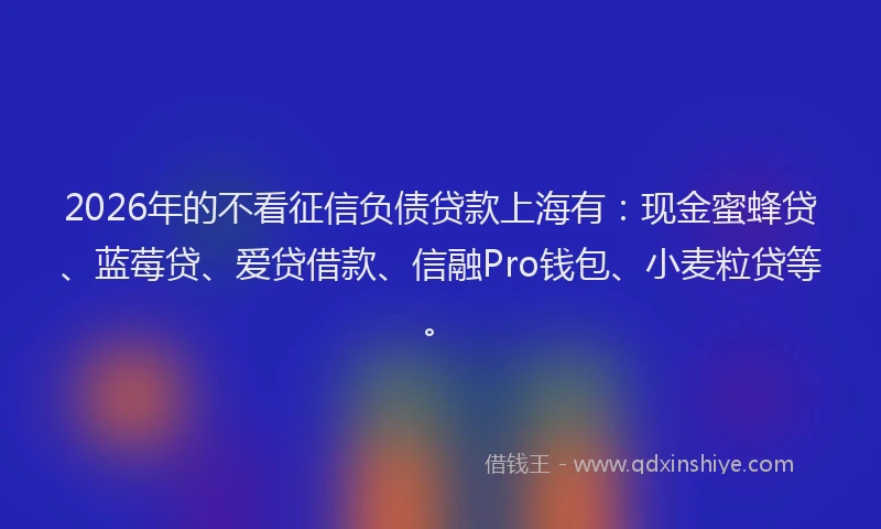 2026年的不看征信负债贷款上海有：现金蜜蜂贷、蓝莓贷、爱贷借款、信融Pro钱包、小麦粒贷等。