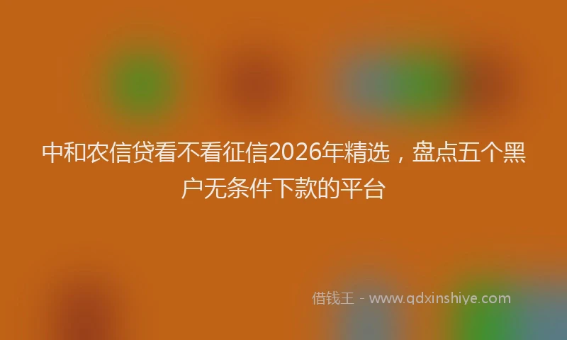 中和农信贷看不看征信2026年精选，盘点五个黑户无条件下款的平台