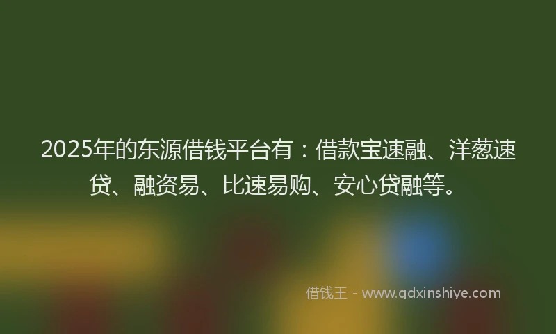 2025年的东源借钱平台有:借款宝速融、洋葱速贷、融资易、比速易购、安心贷融等。