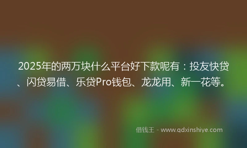 2025年的两万块什么平台好下款呢有:投友快贷、闪贷易借、乐贷Pro钱包、龙龙用、新一花等。