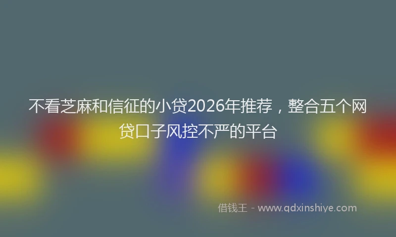 不看芝麻和信征的小贷2026年推荐，整合五个网贷口子风控不严的平台