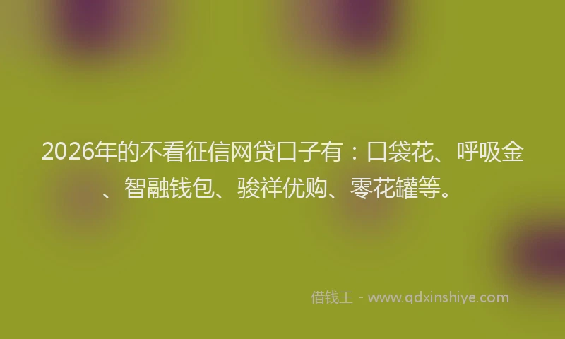 2026年的不看征信网贷口子有：口袋花、呼吸金、智融钱包、骏祥优购、零花罐等。