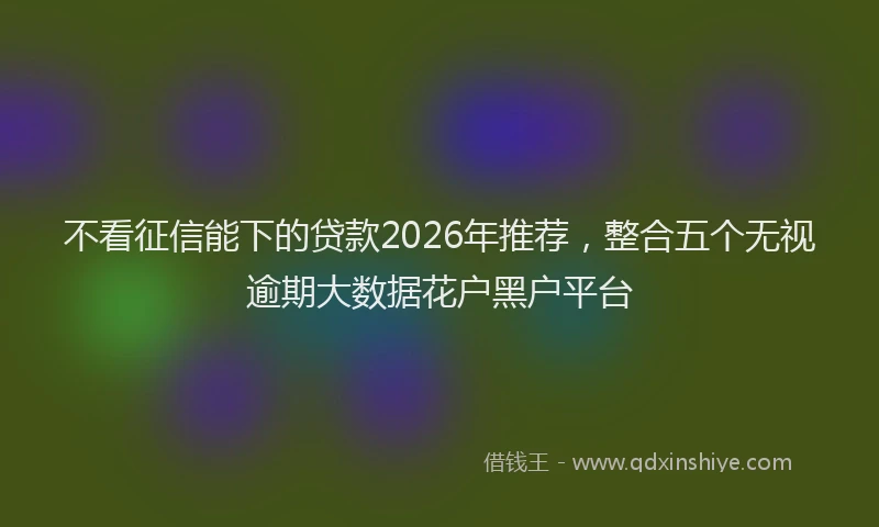 不看征信能下的贷款2026年推荐，整合五个无视逾期大数据花户黑户平台