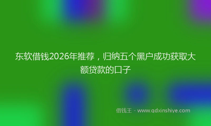 东软借钱2026年推荐，归纳五个黑户成功获取大额贷款的口子