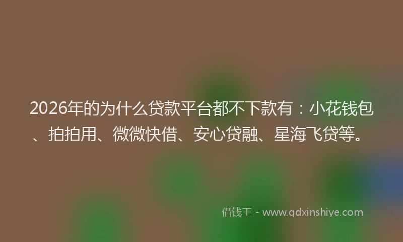 2026年的为什么贷款平台都不下款有：小花钱包、拍拍用、微微快借、安心贷融、星海飞贷等。