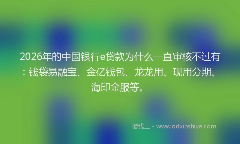 2026年的中国银行e贷款为什么一直审核不过有：钱袋易融宝、金亿钱包、龙龙用、现用分期、海印金服等。