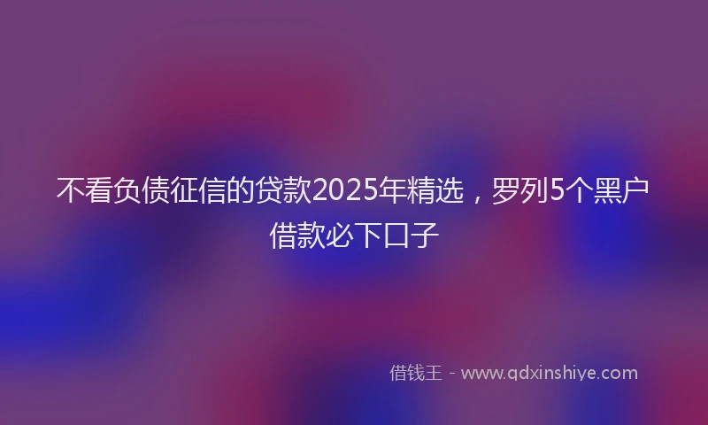 不看负债征信的贷款2025年精选，罗列5个黑户借款必下口子
