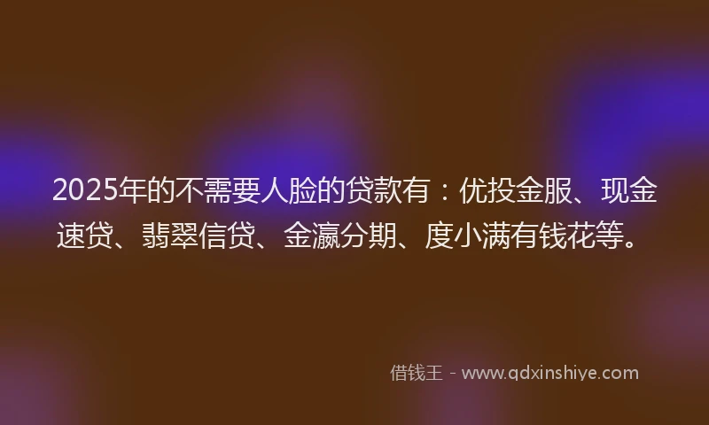2025年的不需要人脸的贷款有：优投金服、现金速贷、翡翠信贷、金瀛分期、度小满有钱花等。