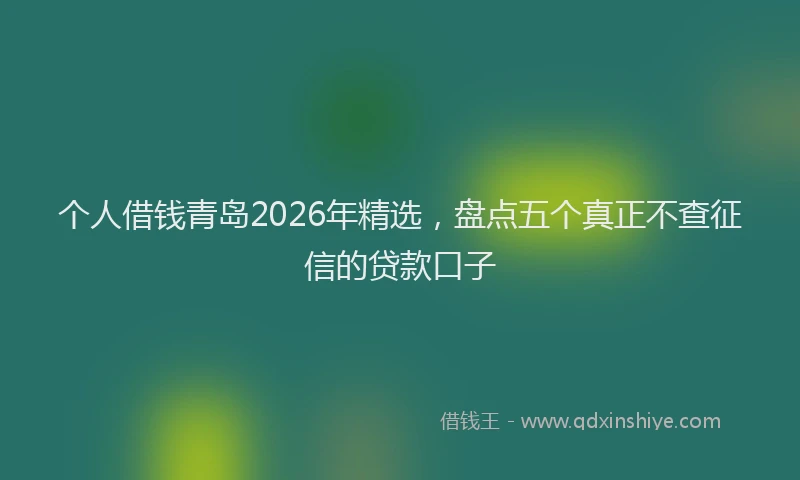 个人借钱青岛2026年精选，盘点五个真正不查征信的贷款口子