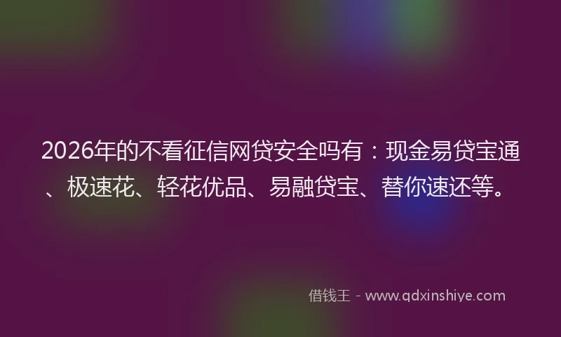 2026年的不看征信网贷安全吗有：现金易贷宝通、极速花、轻花优品、易融贷宝、替你速还等。