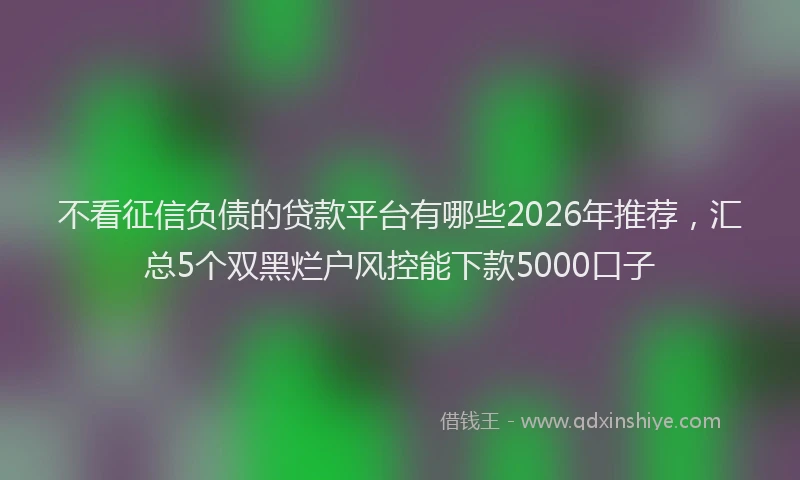 不看征信负债的贷款平台有哪些2026年推荐，汇总5个双黑烂户风控能下款5000口子