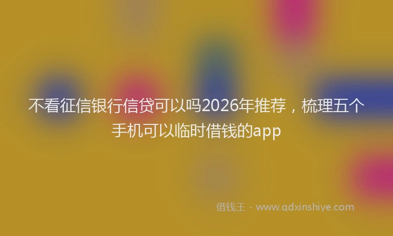 不看征信银行信贷可以吗2026年推荐，梳理五个手机可以临时借钱的app
